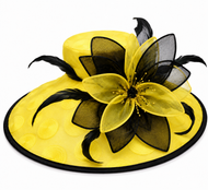 2 in 1 Sunshine Elegance Fascinator
