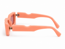 Load image into Gallery viewer, Peachy Chic Shades
