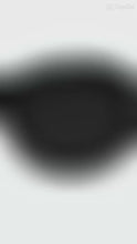 Load and play video in Gallery viewer, Bee Bold Shield Sunglasses
